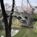 장자호수생태공원 | [구리 산책하기 좋은 곳] 장자호수생태공원의 봄