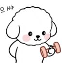 멍냥멍냥 미용실 이미지