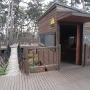 서산소나무힐링 이미지