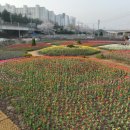 낙동강관리본부 화명생태공원 15 이미지