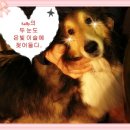 노을이슬 이미지