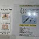 씨유연산파크시티점 | 모공 속까지 관리해주는 ‘올가드림뷰티 연산파크시티점’ 내돈내산 후기까지