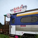 북천 레일바이크 역사 Daum카페