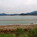 내가초교 이미지