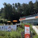 펫밀리샵 | 강릉 펫밀리 자유투어, 반려견과 함께 힐링 여행 다녀왔어요 🐾