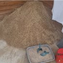 흙뿌리 농장 | 선인장 분갈이 작업 후기, 배수 좋은 흙으로 깔끔하게 옮겨심기