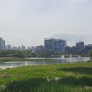 모산 근린 광장 이미지