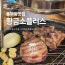 황금소플러스