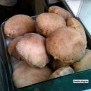 전통참숯불김 이미지