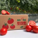 봉화박스