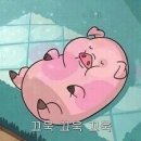 파라디소칸초네