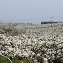 한길농원 이미지