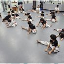 참사랑태권도 이미지