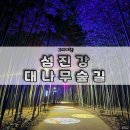 섬진강대나무숲길 | <구례여행 섬진강 대나무숲길> 야간산책, 야경이예쁜 대나무숲길 구례가볼만한곳
