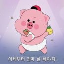 [W3]제주 웨딩 스냅 / 유아오 / 홀스테일러
