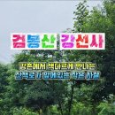 금보탑