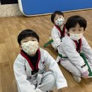 탄벌태권도장 이미지