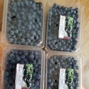 김영농장 이미지