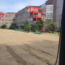 걸매축구장 인조잔디구장 | [투톤 인조잔디] 축구장·풋살장 겸용 구장 시공 과정 공개!