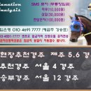 ♣ 10월 21일 토요일 추천마번 이미지