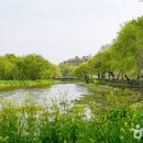 북천수변공원 이미지