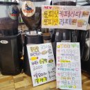수목티