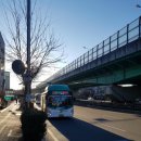 수원-1826 이미지