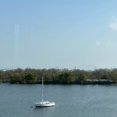 안성천 | [평택 / 안중근교 / 안성천 / 호수뷰 루프탑 대형카페 / 🐰가 있어요 / 뷰맛집] 카페 아카이브