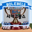 베스트팀 이미지