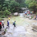 도마치계곡 이미지