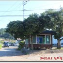 와포햇살 영농조합법인 이미지