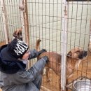 아크 플래닛 | [플래닛주민센터] 포스코 재능봉사단과 함께한 아크보호소 봉사활동