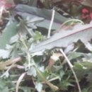 산북농장 이미지