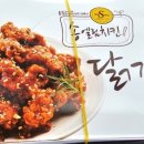 송엘림