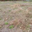 양평한울공인중개사사무소 이미지