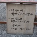 아날로그감귤밭 이미지