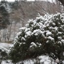 원인터네셔널 이미지