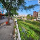 산청정다운공인중개사사무소 | 삼선동부동산 전망과 창경궁롯데캐슬 생활동선, 성북천재개발 기대감 총정리 😊