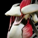 경희태림한의원 이미지