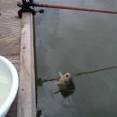 송현낚시터 이미지