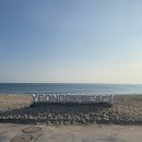맥시칸치킨주문진점 | 강릉 연곡솔향기캠핑장 변경 된 사항들 [해변 구조물, 숲속 놀이터, 장애인용 데크, 화장실 수리...