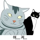 지경희동물병원 이미지