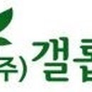 (주)갤롭투어 이미지