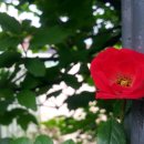 냉천초등학교 이미지