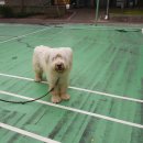 성지산공원 이미지