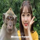 우붓 여행 필수코스 몽키포레스트 후기