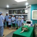 도희동물병원 이미지