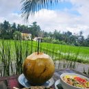 발리 우붓 진정한 논뷰 맛집 샨띠 와룽 Ubud Shanti Warung 추천 후기