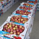 대덕청과 이미지