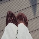 정선고등학교 | 🚞 정선 1박 2일 여행코스: 케이블카부터 짚와이어, 화암동굴까지! 자연과 액티비티를 다 즐긴 여행 후기 🌲